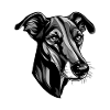 Greyhound Dog Head