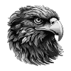 Eagle Portrait