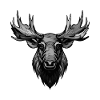 Moose Portrait