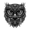Owl Portrait