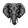 Elefant Portrait