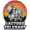 Dairy cow lactose tolerant