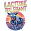 Dairy cow lactose tolerant
