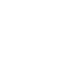 Raccoon with sunglasses