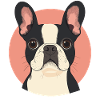 Bulldog pedigree dog dog