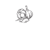 Take Your Cloves Off - Funny Garlic Pun Gift