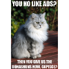 Fundraiser Cat