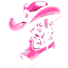 Line Dance Boots with Stetson
