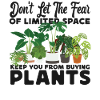 Plant Lover Gardening Monstera