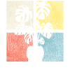 Plant Lover Gardening Monstera