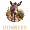 Donkey Esel