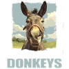 Donkey Esel