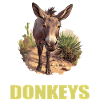 Donkey Esel