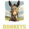 Donkey Esel