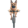 Deutscher Schäferhund