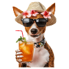 Basenji