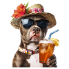 Amerikanischer Pitbull Terrier