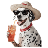 Dalmatiner