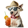 Bull Pitbull Terrier