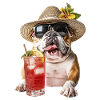 Bulldogge