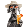 Deutsche Dogge