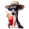 Windhund