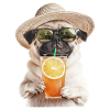 Mops