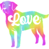 Chesapeake Bay Retriever