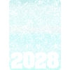 2028