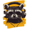 Raccoon