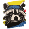 Raccoon
