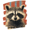 Raccoon