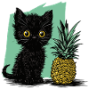 Ananas et chaton