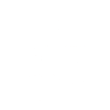 Federball Badminton