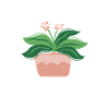 Gardening Horticulture Gardener