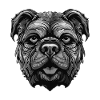 Bulldog Dog Portrait