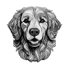 Golden Retriever Dog Portrait