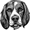 Portrait de chien beagle