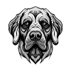 Kangal Dog Portrait
