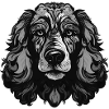 Poodle Dog Portrait