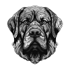 Mastiff Dog Portrait