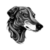 Greyhound Dog Portrait