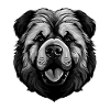 Chow Chow Dog Head