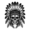 Apache Indian Skull