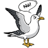 "Nö" Möwe -Nordsee Design
