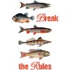 Break the Rules – Retro Fish Art