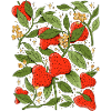 Hart Aardbeien – Romantische Natuur Illustratie