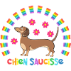 Sausage Dog with Rainbow