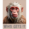 Monkey – Qui l’attrape ? | Design amusant