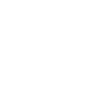 Tribal lion with wild mane